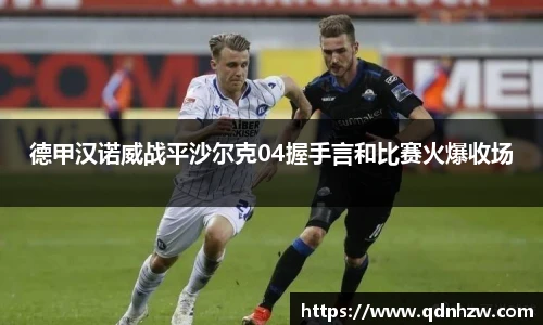 德甲汉诺威战平沙尔克04握手言和比赛火爆收场
