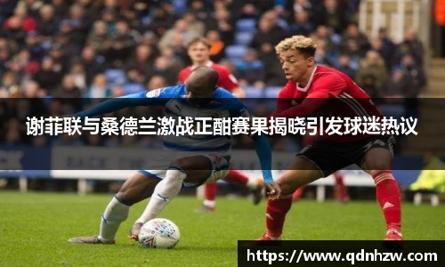 谢菲联与桑德兰激战正酣赛果揭晓引发球迷热议