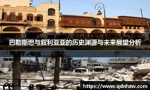 巴勒斯坦与叙利亚亚的历史渊源与未来展望分析